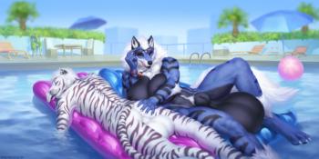 View stimkypawz's Gallery